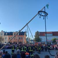 Maibaum