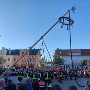 Maibaum Maibaum