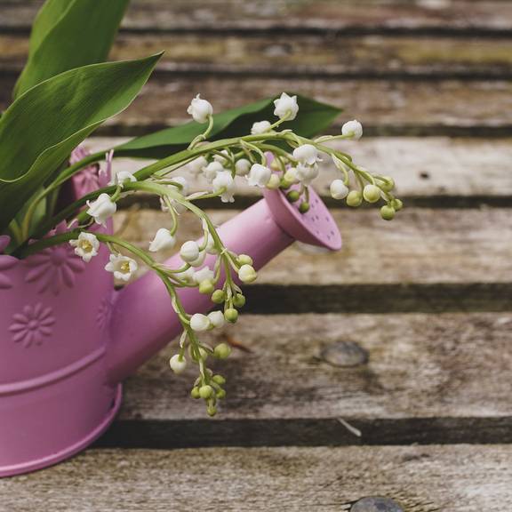 lily of the valley g9ff2b9474 1920