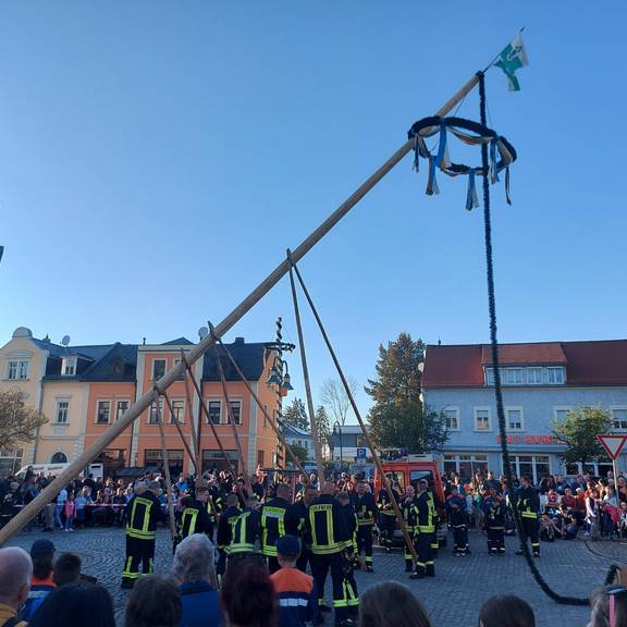 Maibaum Maibaum