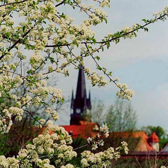 01 ostergrüße bm